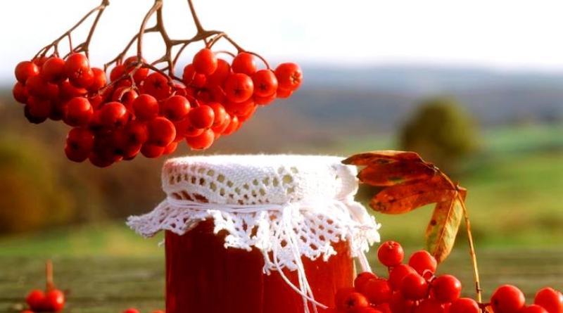 Сироп из рябины: как приготовить десерт из свежих, замороженных и сухих плодов красной рябины Сироп из красной рябины на зиму рецепты